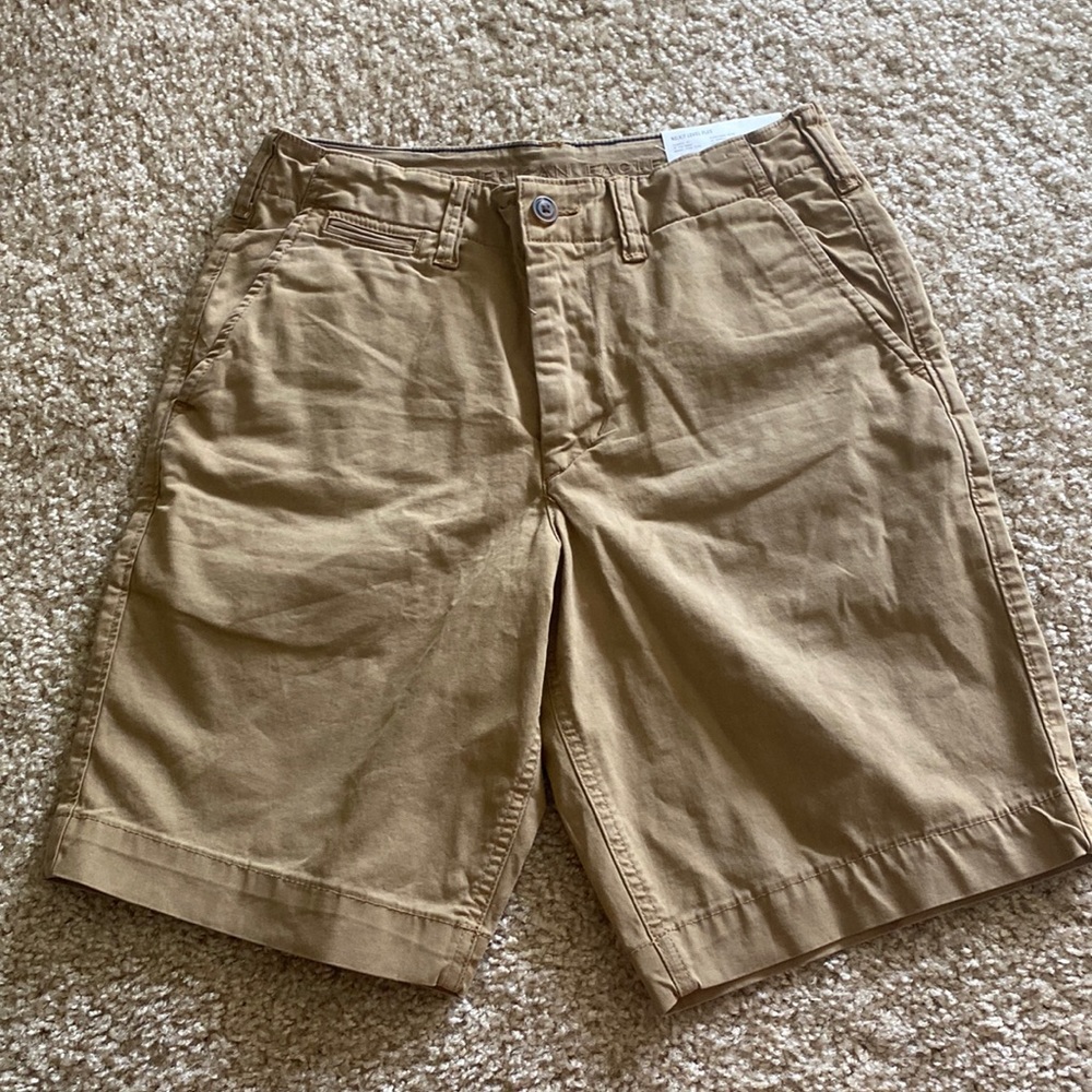 American Eagle Mens Shorts